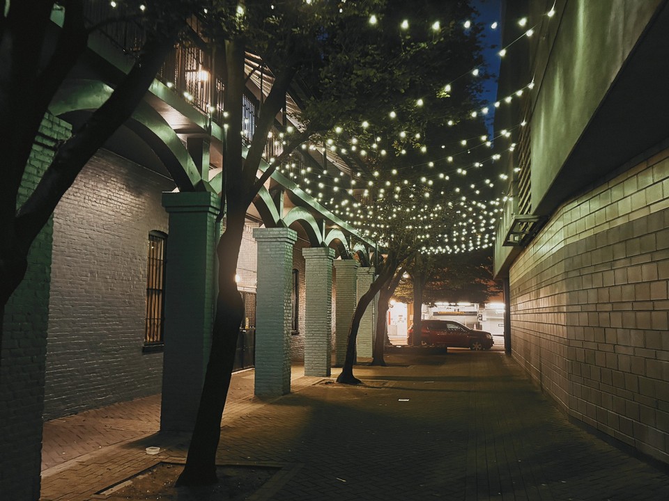Strings of lights above a tree-lined brick alley at night