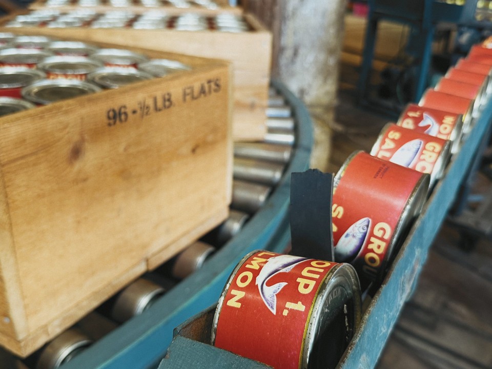 Red salmon tins on a blue conveyor beside wooden crates