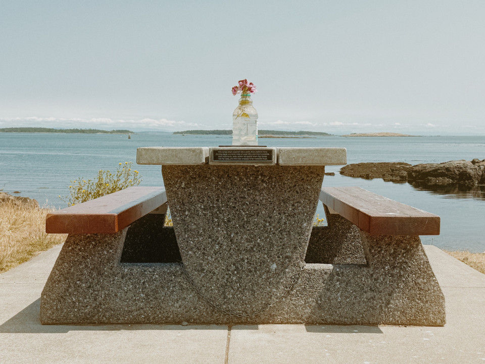A flower on a picnic table overlooking the sea