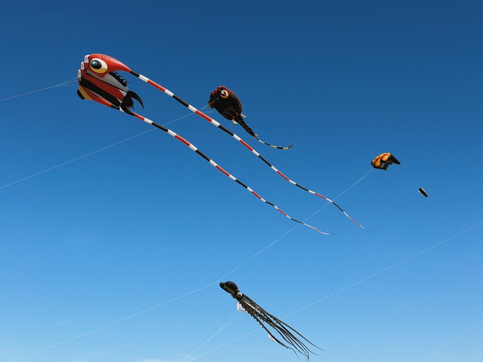 Colourful fish-shaped kites and long streamers against a deep blue sky